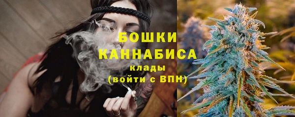 стаф Белокуриха