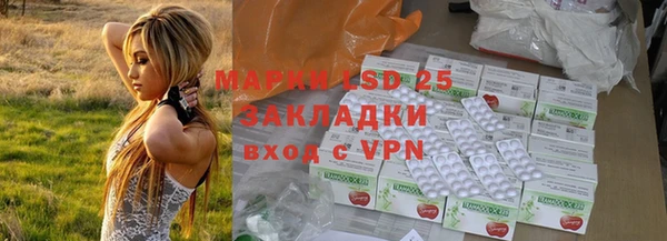 стаф Белокуриха