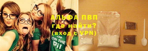 прущие грибы Белоозёрский