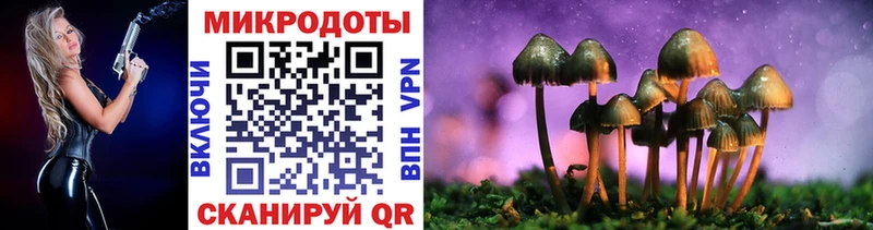 mega ТОР Шумиха Псилоцибиновые грибы Cubensis